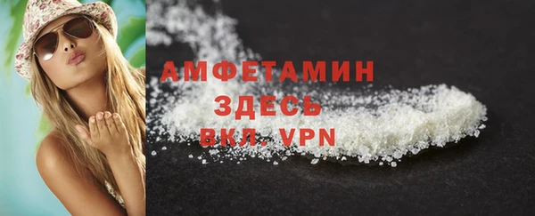стаф Вяземский