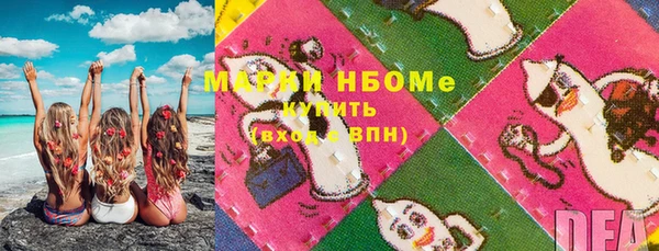 стаф Вяземский
