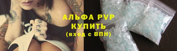 стаф Вяземский