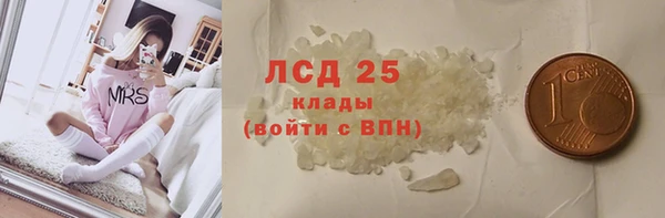 стаф Вяземский