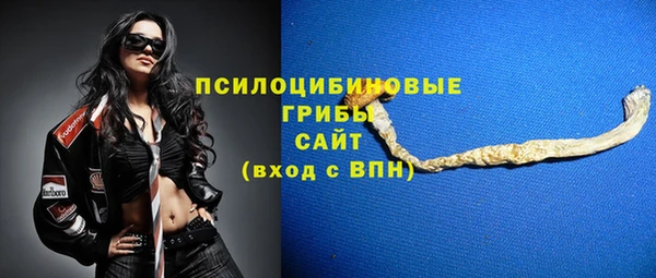 стаф Вяземский