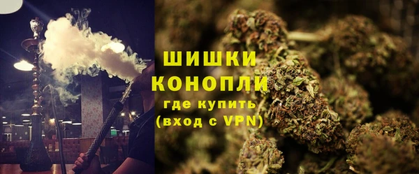 стаф Вяземский