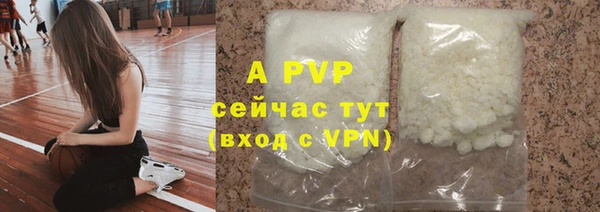 стаф Вяземский